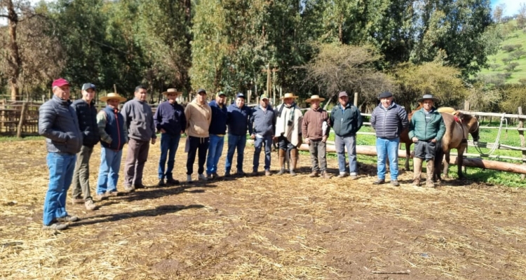 Club Chada de Ferocam tuvo jornada de vacunación contra la influenza equina