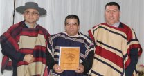Mauricio Toloza, Mejor Jinete Profesional y Arreglador de Concepción: 