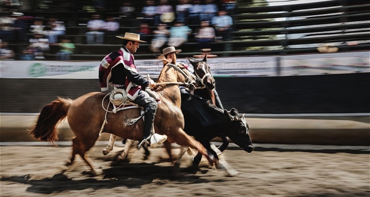 Son 17 los rodeos que brindarán alegrías en las quinchas este fin de semana