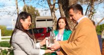 Criadero Santa Ana donó dos yeguas al Club Carampangue para proyecto comunal de equinoterapia