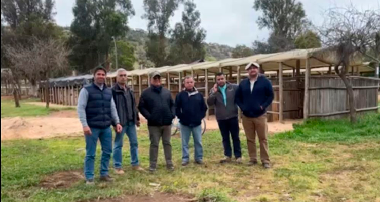 Criadores de Cardenal Caro trabajan intensamente para estar presentes en el retorno de la Expogama