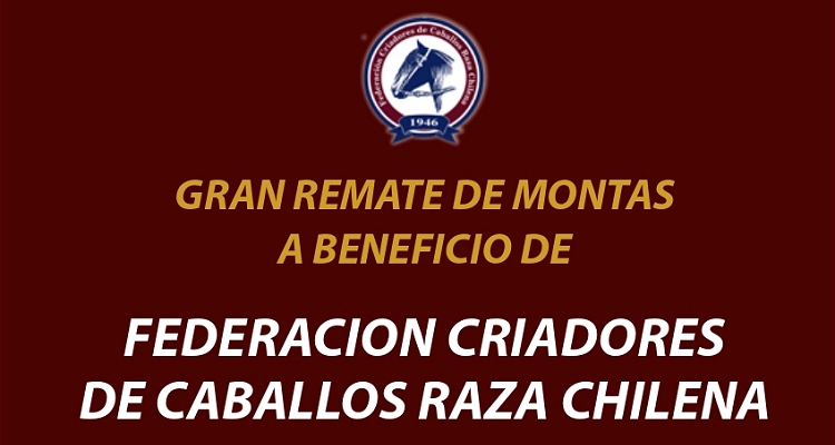 Federación de Criadores realiza extraordinario remate de montas de potros de selección