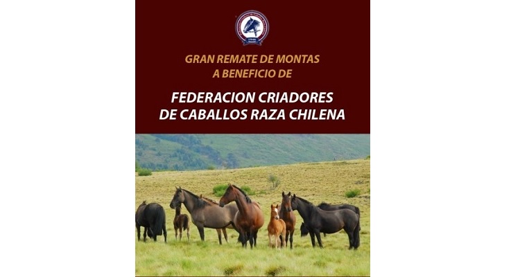 Gastón Salazar y remate de la Federación de Criadores: Hay grandes potros en el catálogo