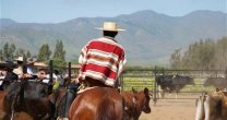 En Raza Chilena conversamos sobre la llegada del Corral de Aparta de Ganado al norte