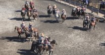 La previa del fin de semana corralero la vivimos en CaballoyRodeo en Vivo