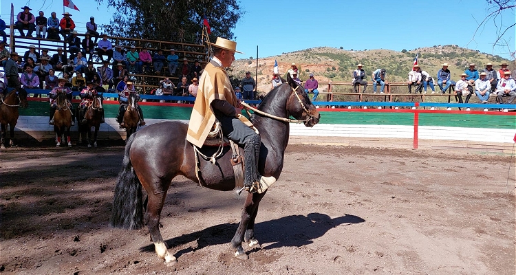 Martín Contreras y la Rienda: 