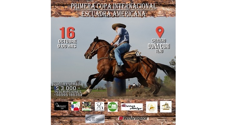 Chile Barrilete tendrá Copa Internacional este domingo en Teno