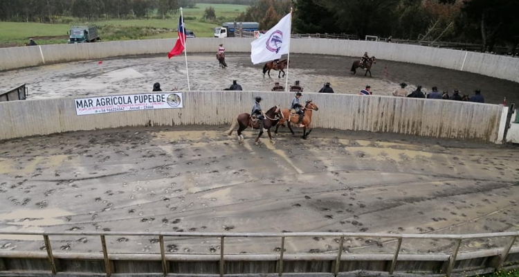 Asociación Ancud-Chiloé se prepara para compartir un grato momento en su Rodeo Para Criadores