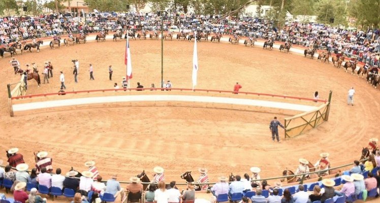 Asociación Cardenal Caro sigue con mucha actividad y tendrá Rodeo Para Criadores en Marchigüe