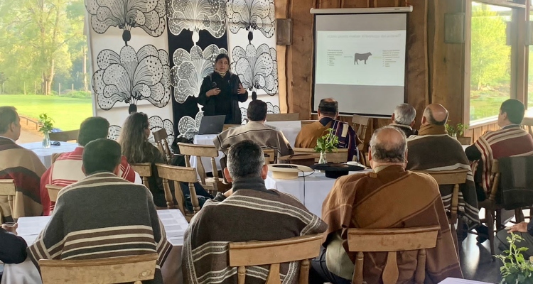 Delegados rentados de Cautín y Río Cautín realizaron provechosa capacitación sobre bienestar animal