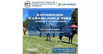Criadores de Casablanca están en proceso de inscripciones para su Exposición Criadores de Casablanca están en proceso de inscripciones para su Exposición