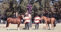 Asociación Colchagua ya tiene sede para la Expo Nacional y se prepara para la Expocol Asociación Colchagua ya tiene sede para la Expo Nacional y se prepara para la Expocol