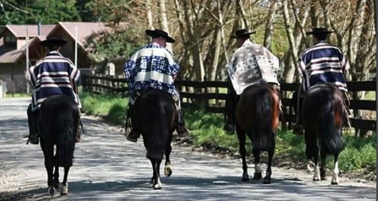 Criaderos Valle Azul y Casas de Logroño tienen atractivo remate este jueves