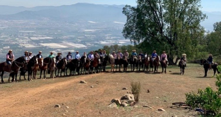 Asociación de Criadores de Quillota vuelve a organizar una exposición después de largo tiempo