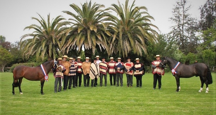 Intruso T.E. y Guitarra se llevaron los mayores elogios en la Expo Casablanca