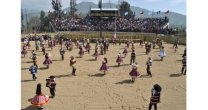 Criadores de Melipilla esperan atraer mucho público a su Exposición en Peñaflor Criadores de Melipilla esperan atraer mucho público a su Exposición en Peñaflor