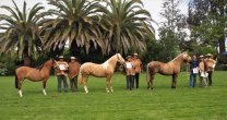 Los Grandes Premios de la Expo Casablanca 2022