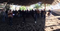 Este sábado se realizará la esperada Exposición de la Asociación Quillota Este sábado se realizará la esperada Exposición de la Asociación Quillota