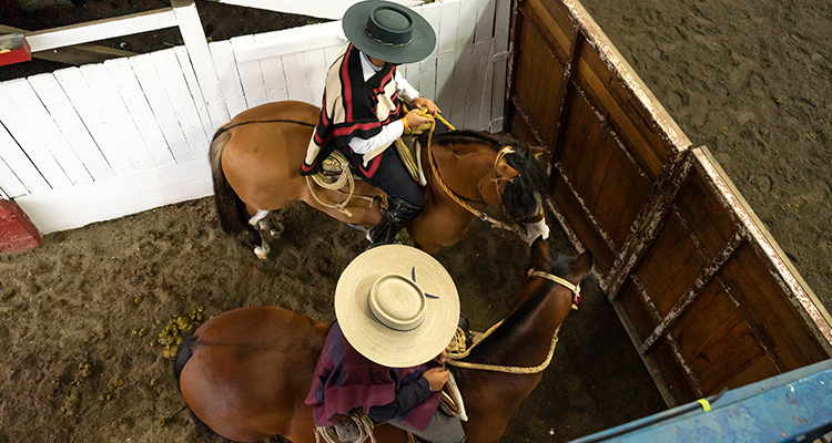 Federación del Rodeo Chileno trabaja en actualización tecnológica del sistema de planillas para los Rodeos