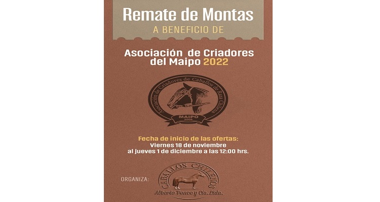 Asociación de Criadores de Maipo realiza remate de montas de potros de gran calidad