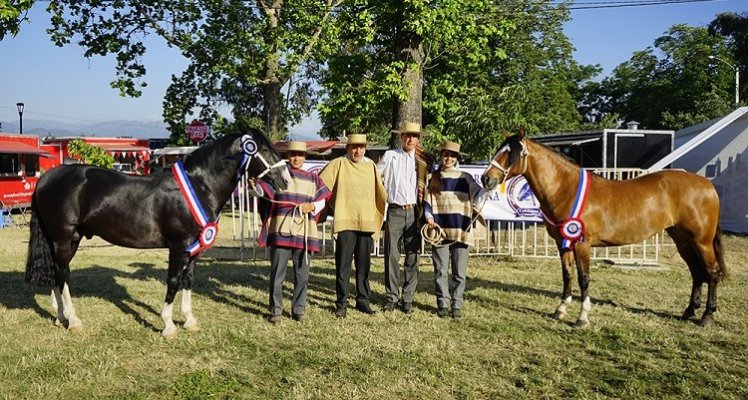 Retinto y Fujitiva triunfaron en una concurrida Expo Colchagua en San Fernando