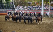 La presentación de la Escuadra Ecuestre de Chile en la Expocol