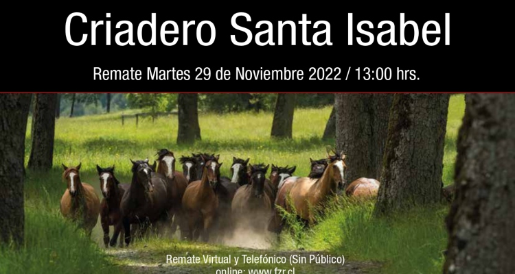 Criadero Santa Isabel sale a remate este martes con importantes ejemplares