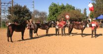 Asociación Cardenal Caro programó su segunda Exposición de la temporada Asociación Cardenal Caro programó su segunda Exposición de la temporada