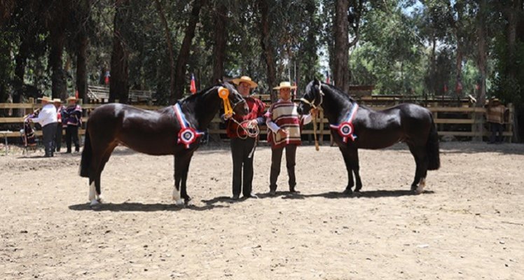 Expo O'Higgins será uno de los atractivos de un gran programa en la Monumental de Rancagua