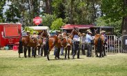 Otra mirada a la Expo Colchagua realizada en San Fernando Otra mirada a la Expo Colchagua realizada en San Fernando