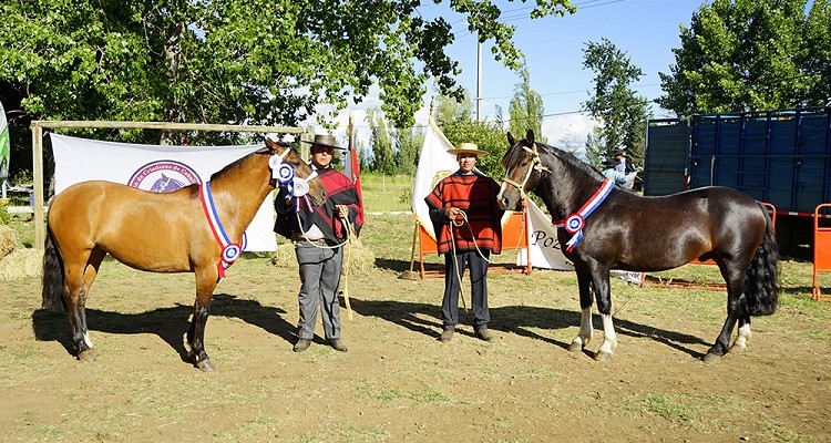 Mago y Colmada triunfaron en una Expo Ñuble numerosa y de gran calidad