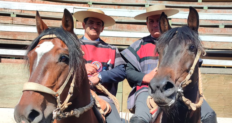 Campeones del Zonal Sur: 