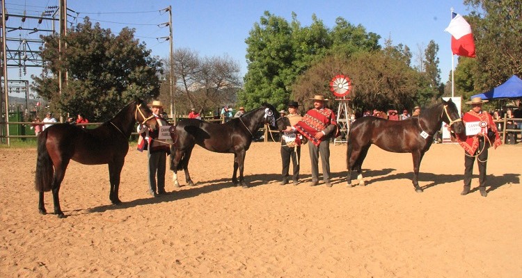 Criadores de Cardenal Caro pasarán una tarde en familia con su Exposición