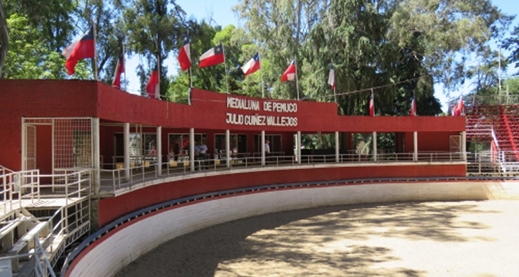 Sigue la transmisión por streaming del Zonal Centro de Pemuco