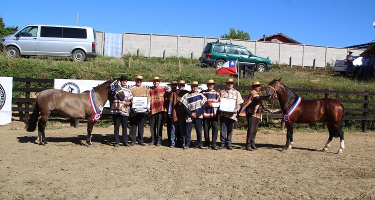 La concurrida Expo Arauco premió a Cacharpeado y Farandulera como los mejores