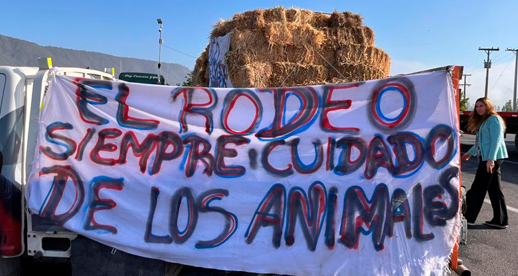 El Rodeo apoya a los animales víctimas del incendio de Viña del Mar