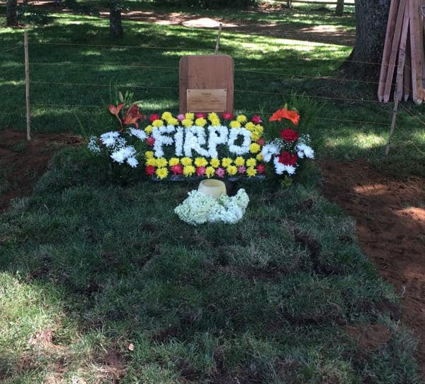 Imagen foto_00000004