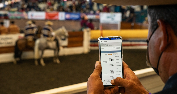 App Caballo Chileno implementó mejora para venta de los Planes Criadero