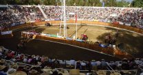 Medialuna de San Carlos recibe el Rodeo Para Criadores de Ñuble Medialuna de San Carlos recibe el Rodeo Para Criadores de Ñuble