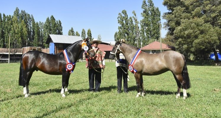 Berrinche y Discreta reinaron en la masiva Expo Bío Bío de Los Angeles