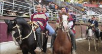 Criaderos Principio y Ampurdam ganaron en San Carlos el Rodeo para Criadores de Ñuble
