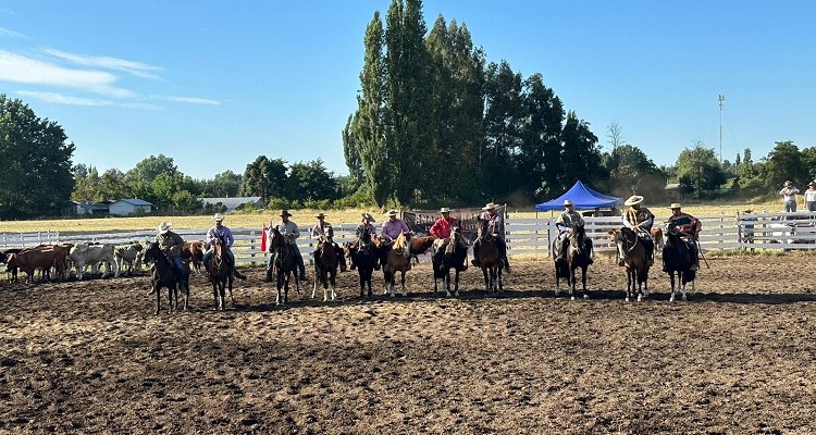 Centro Ecuestre Anapolis Ranch del venezolano José Guzmán también apuesta a la Aparta de Ganado