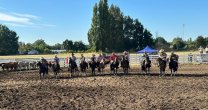 Centro Ecuestre Anapolis Ranch del venezolano José Guzmán también apuesta a la Aparta de Ganado Centro Ecuestre Anapolis Ranch del venezolano José Guzmán también apuesta a la Aparta de Ganado