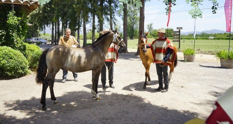 José Luis Pinochet y la sede de la Expo Nacional: El recinto es espectacular