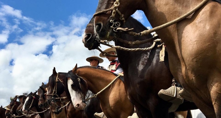 Purranque alberga una fiesta linda con boletos a los Clasificatorios