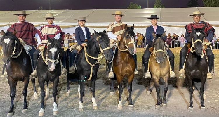 Criadero Doña Tuca y Amazonas de la Tradición Chilena se lucieron en la Expo Paine Rural