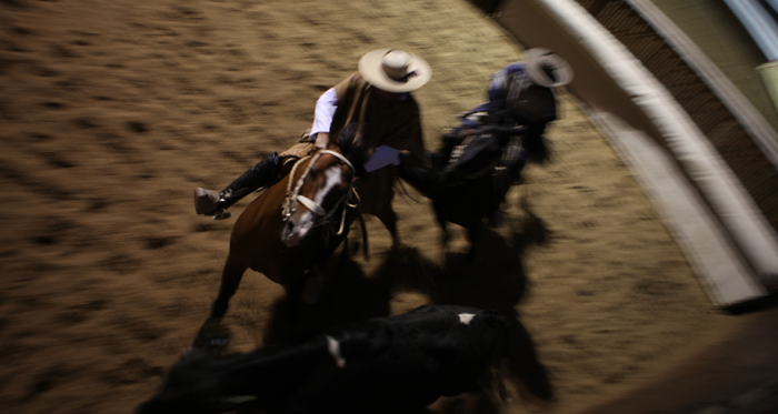 Estas son las planillas A y B de la Final de Rodeos para Criadores 2023