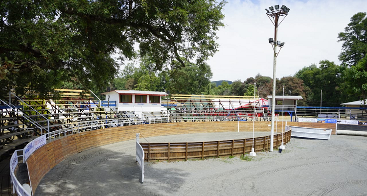 App Caballo Chileno: Conoce más detalles de los participantes de la Final de Rodeos para Criadores