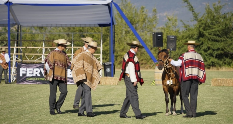 Revisa la transmisión vía streaming de la Expo Nacional 2023