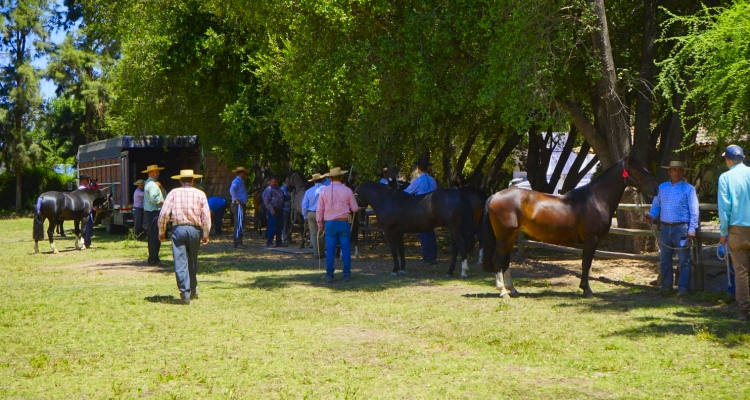 Comisión Admisión trabajó exitosamente en la previa a la Expo Nacional